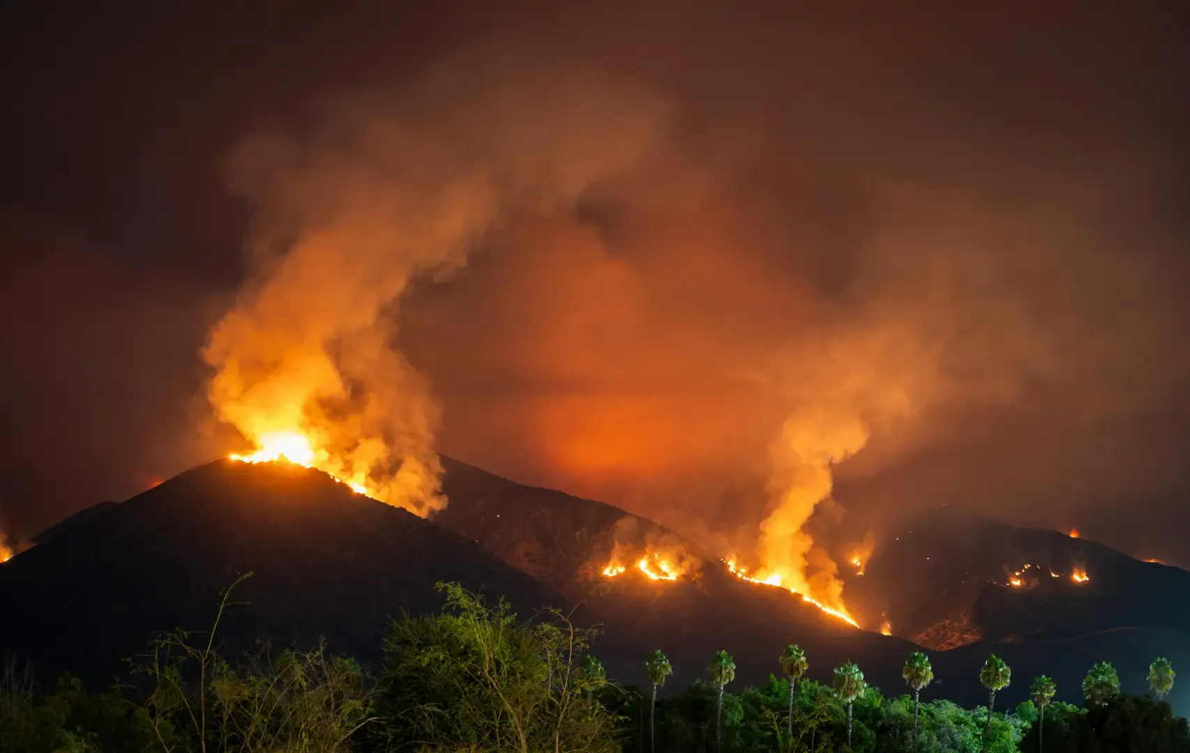 Feu de forêt